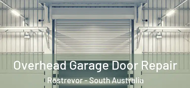 Overhead Garage Door Repair Rostrevor - South Australia