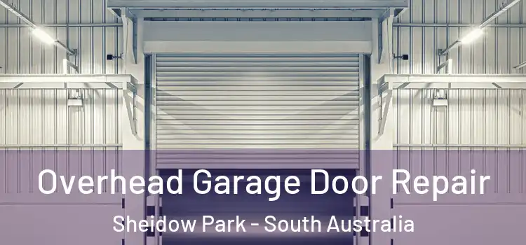 Overhead Garage Door Repair Sheidow Park - South Australia
