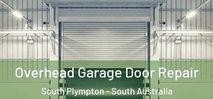 Overhead Garage Door Repair South Plympton - South Australia