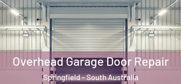 Overhead Garage Door Repair Springfield - South Australia