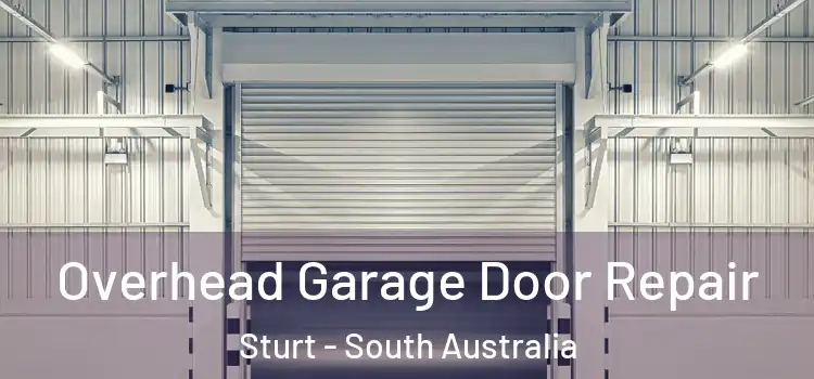 Overhead Garage Door Repair Sturt - South Australia
