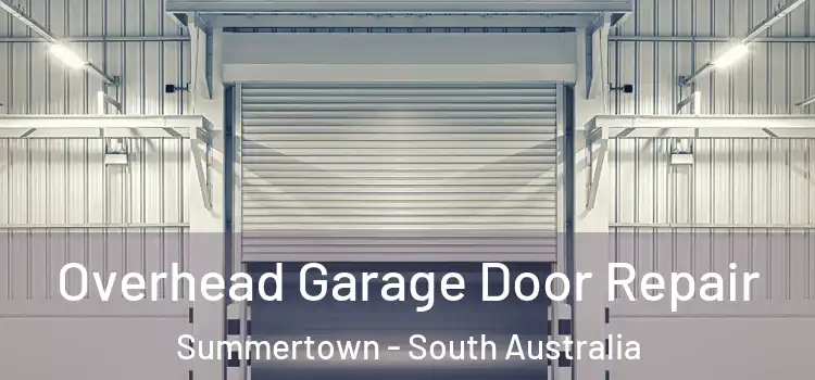 Overhead Garage Door Repair Summertown - South Australia