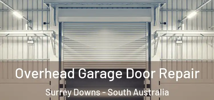 Overhead Garage Door Repair Surrey Downs - South Australia