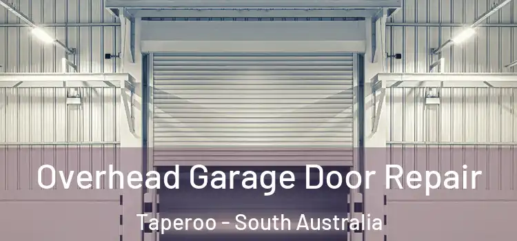 Overhead Garage Door Repair Taperoo - South Australia