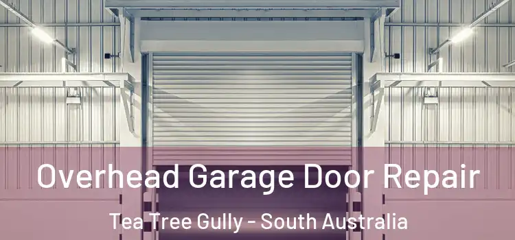 Overhead Garage Door Repair Tea Tree Gully - South Australia