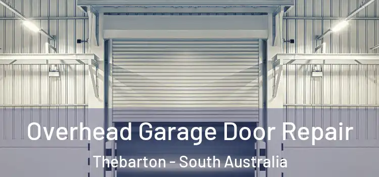 Overhead Garage Door Repair Thebarton - South Australia