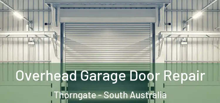 Overhead Garage Door Repair Thorngate - South Australia