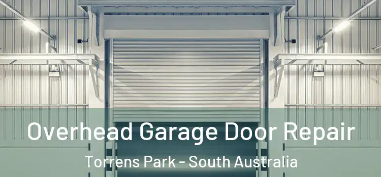 Overhead Garage Door Repair Torrens Park - South Australia