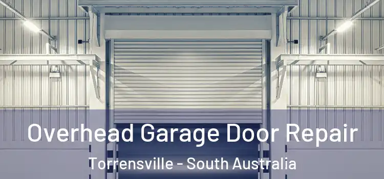 Overhead Garage Door Repair Torrensville - South Australia