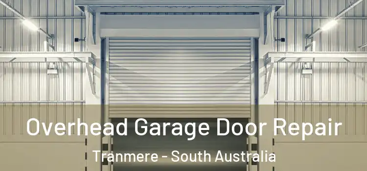 Overhead Garage Door Repair Tranmere - South Australia