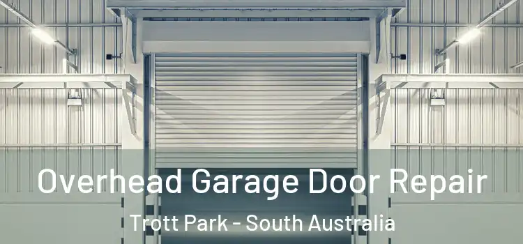 Overhead Garage Door Repair Trott Park - South Australia