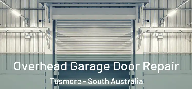 Overhead Garage Door Repair Tusmore - South Australia