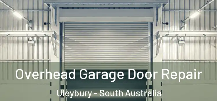Overhead Garage Door Repair Uleybury - South Australia