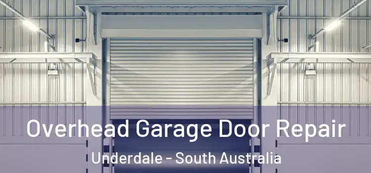 Overhead Garage Door Repair Underdale - South Australia