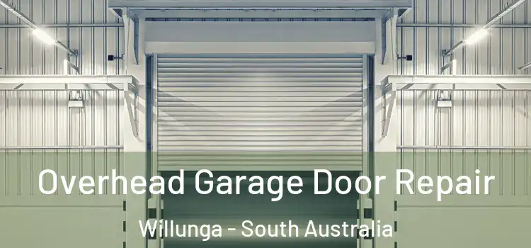 Overhead Garage Door Repair Willunga - South Australia