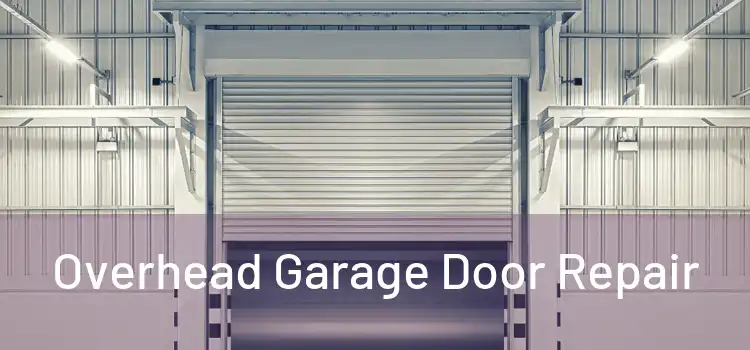 Overhead Garage Door Repair 