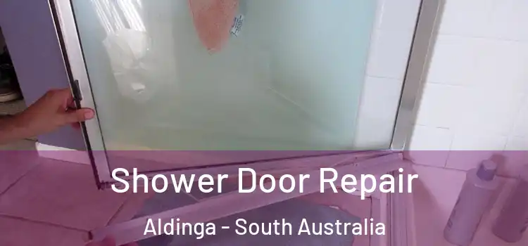 Shower Door Repair Aldinga - South Australia