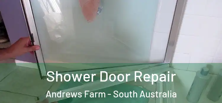 Shower Door Repair Andrews Farm - South Australia
