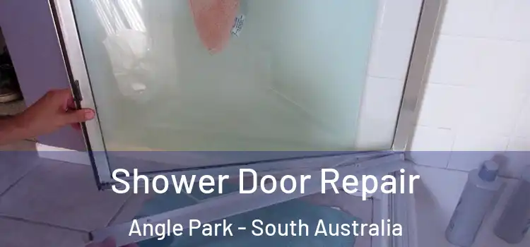 Shower Door Repair Angle Park - South Australia