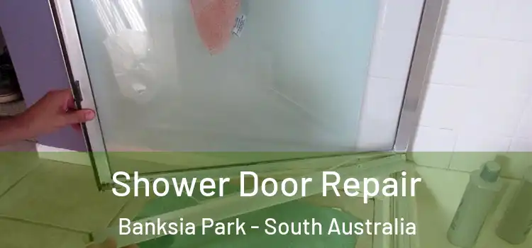 Shower Door Repair Banksia Park - South Australia