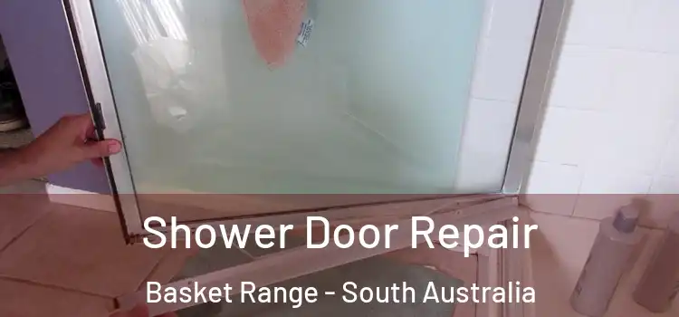 Shower Door Repair Basket Range - South Australia