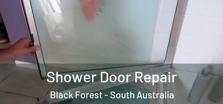 Shower Door Repair Black Forest - South Australia