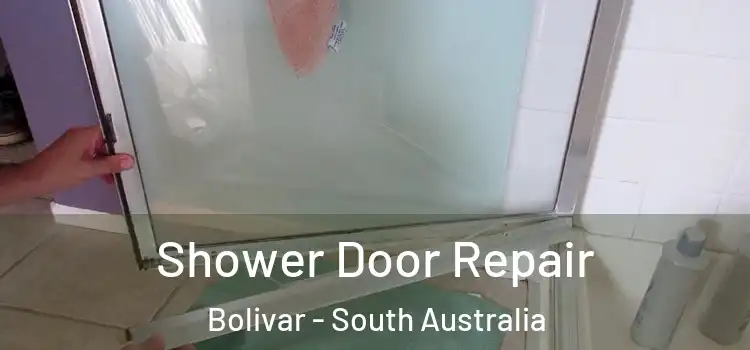 Shower Door Repair Bolivar - South Australia