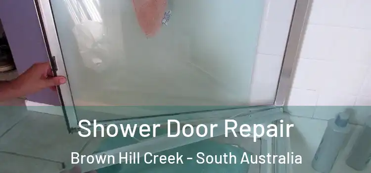 Shower Door Repair Brown Hill Creek - South Australia