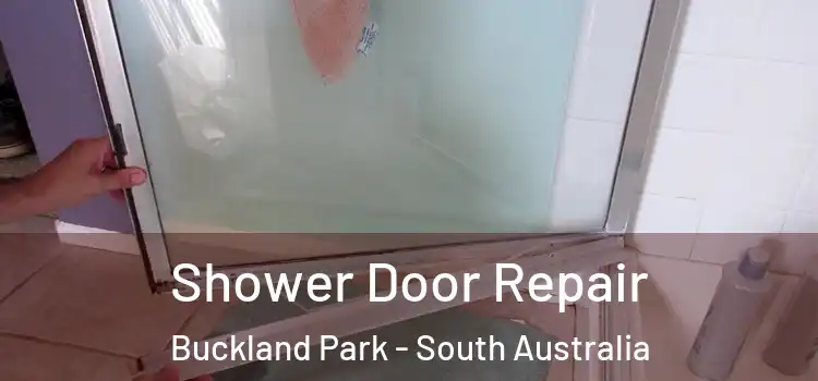 Shower Door Repair Buckland Park - South Australia