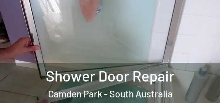 Shower Door Repair Camden Park - South Australia