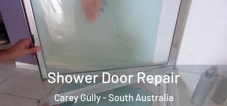 Shower Door Repair Carey Gully - South Australia