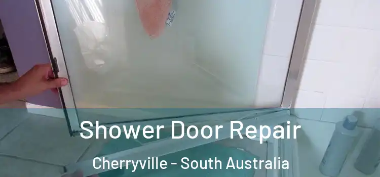 Shower Door Repair Cherryville - South Australia