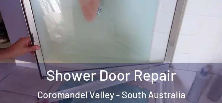 Shower Door Repair Coromandel Valley - South Australia