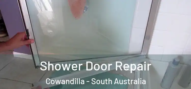 Shower Door Repair Cowandilla - South Australia