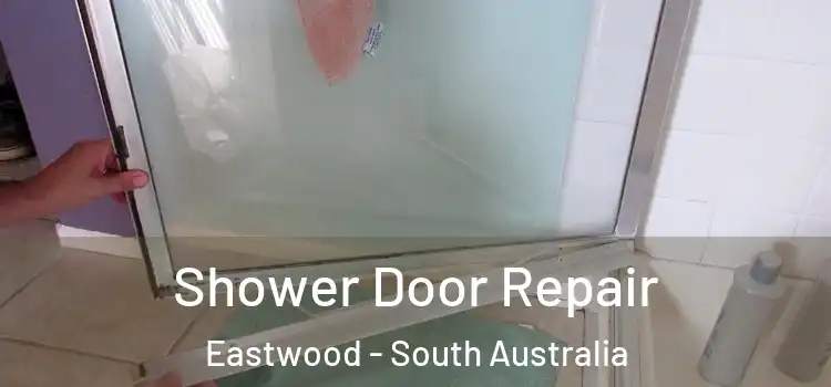 Shower Door Repair Eastwood - South Australia