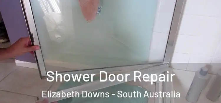 Shower Door Repair Elizabeth Downs - South Australia