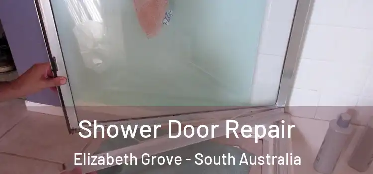 Shower Door Repair Elizabeth Grove - South Australia