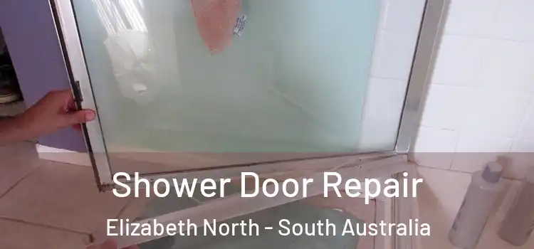Shower Door Repair Elizabeth North - South Australia