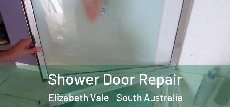 Shower Door Repair Elizabeth Vale - South Australia