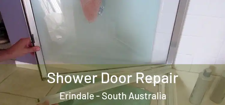 Shower Door Repair Erindale - South Australia