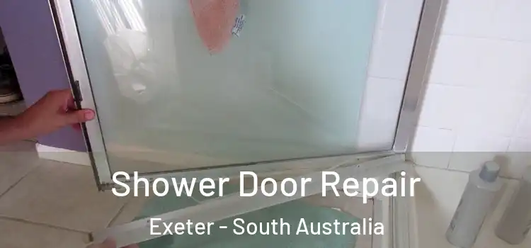 Shower Door Repair Exeter - South Australia