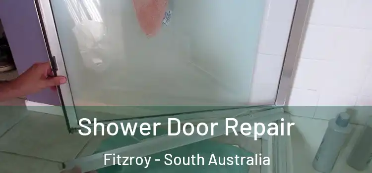 Shower Door Repair Fitzroy - South Australia
