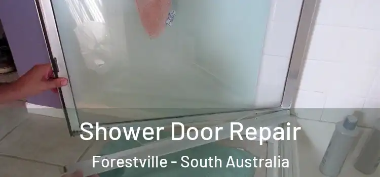 Shower Door Repair Forestville - South Australia