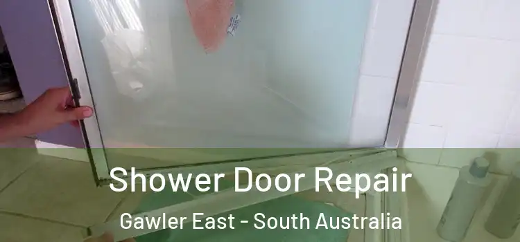 Shower Door Repair Gawler East - South Australia
