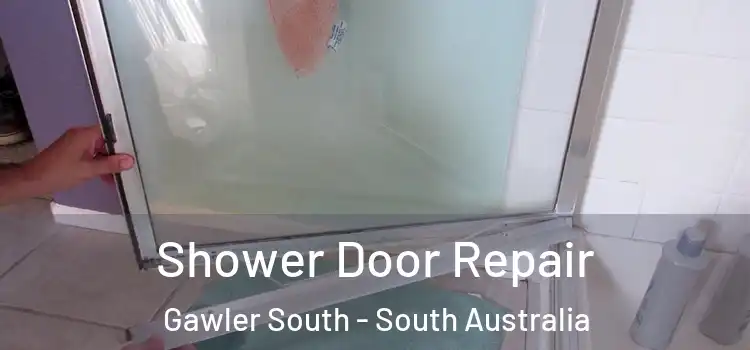 Shower Door Repair Gawler South - South Australia