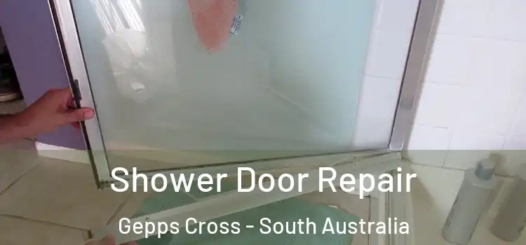 Shower Door Repair Gepps Cross - South Australia
