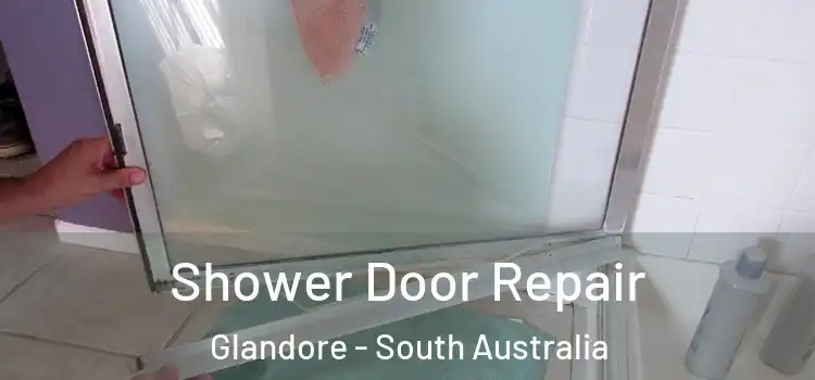 Shower Door Repair Glandore - South Australia