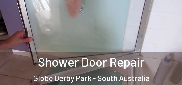 Shower Door Repair Globe Derby Park - South Australia