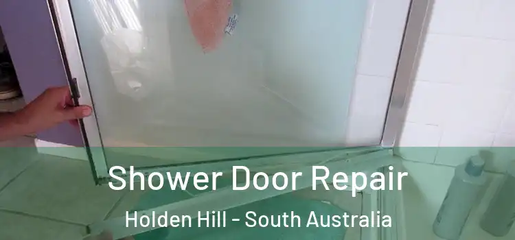 Shower Door Repair Holden Hill - South Australia