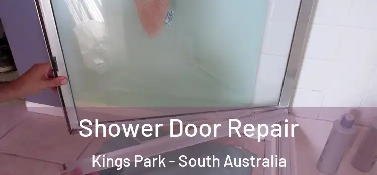 Shower Door Repair Kings Park - South Australia